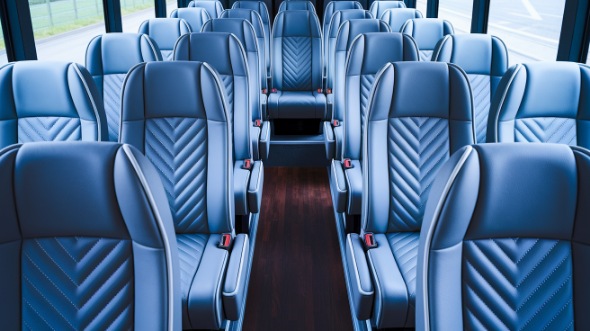 18 passenger minibus interior anaheim