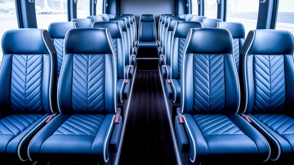 30 passenger minibus rental anaheim