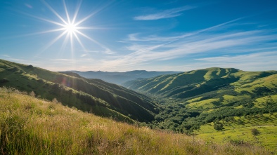 sunny hills
